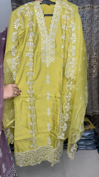 Pakistani Suit (Style No 1104)