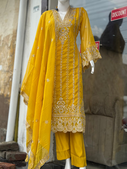 Graceful Gala Salwar Suit – Party-Perfect Look
