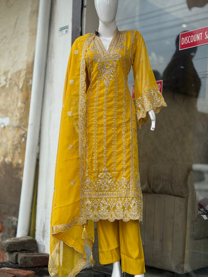 Graceful Gala Salwar Suit – Party-Perfect Look