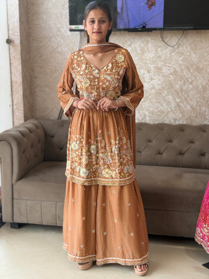 PURE CHINON WEDING WEAR HANDWORK DESIGN PEMPLUM DESIGN WITH SHARAR