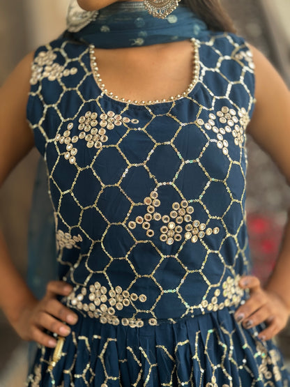 INDIPEHNAWA ELEGANT/STYLISH HEAVY DESIGNER LEHNGA (ARTICLE NO. 5790)