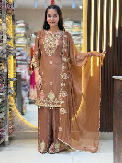 RUST HAND WORK BEAUTIFUL DESIGN SUIT