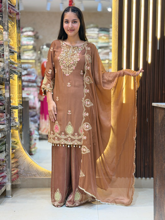 RUST HAND WORK BEAUTIFUL DESIGN SUIT