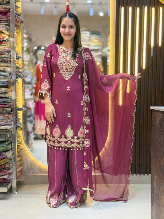 WINE HAND WORK BEAUTIFUL DESIGN SUIT